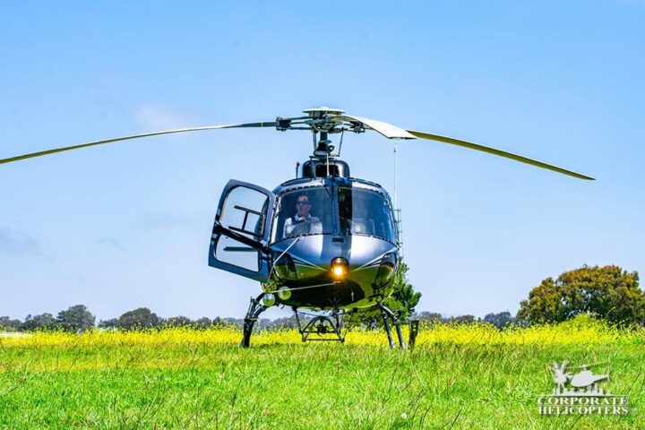 A helicopter landed in a grassy field filled with wildflowers