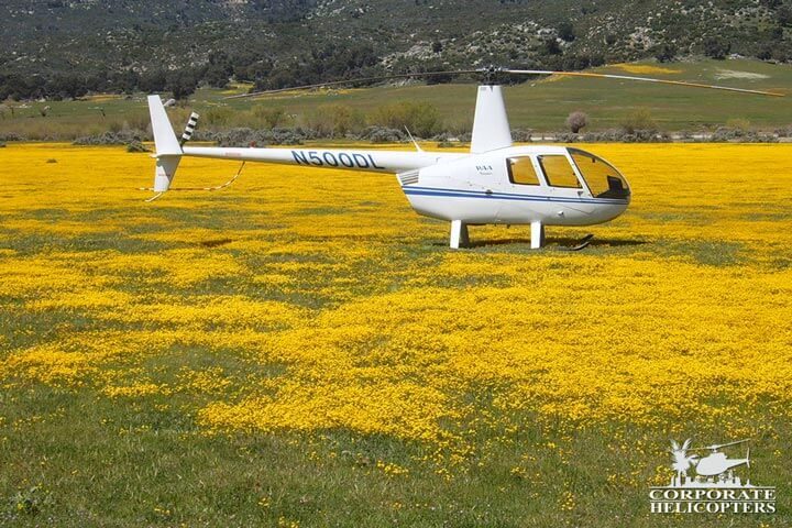 Helicopter landed in the middle of a field filled with yellow wildflowers